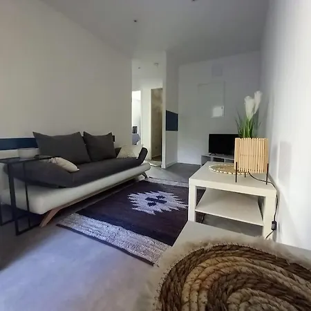Apartment Bambous & Valence (Drome)