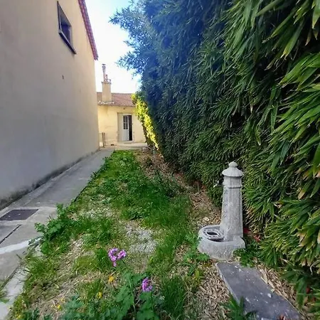 Bambous & * Valence (Drome)